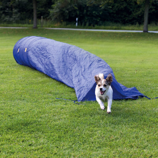 Agility Sack Tunnel For Dogs