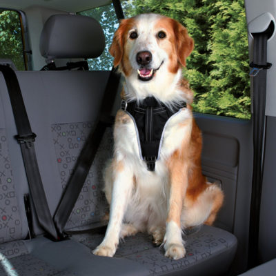 Car Harness Dog Comfort.