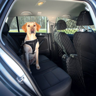 Dog Car Net
