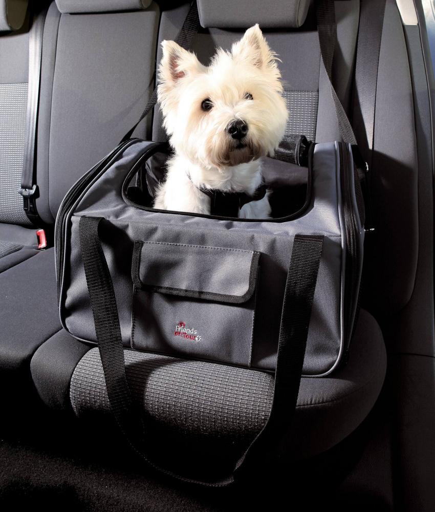 Small Dog Car Seat and Pet Carrier In 