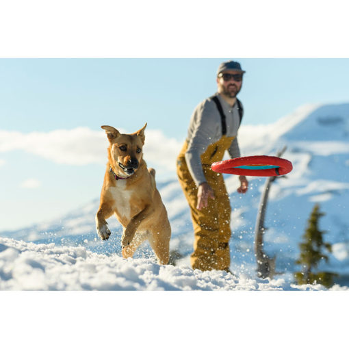 Dog playing in the snow with the Hyro Plane soft, floating disc dog toy.