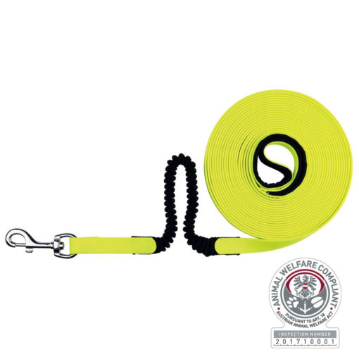 Tracking Leash with Shock Absorber