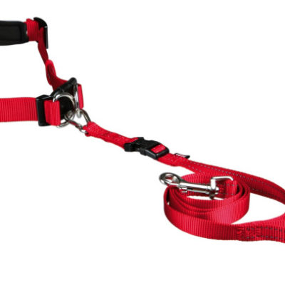 Dog Jogging Lead Small Dogs Trixie