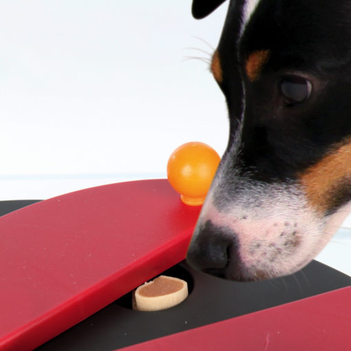 Push Away Strategy Game with dog